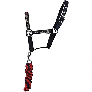 HY EQUESTRIAN Thelwell Collection Practice Makes Perfect Head Collar & Lead Rope, Navy/Red